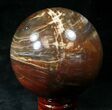 Colorful Petrified Wood Sphere #20619-1